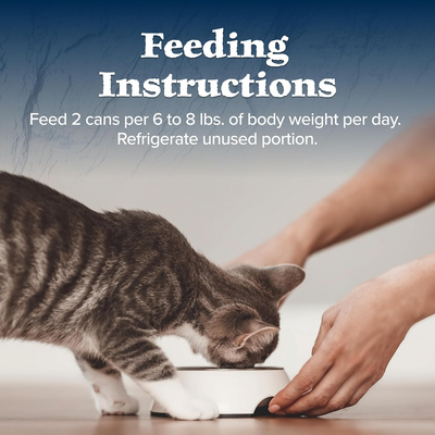 BLUE BUFFALO: Wilderness Adult Cat Food Salmon Recipe, 5.50 oz
