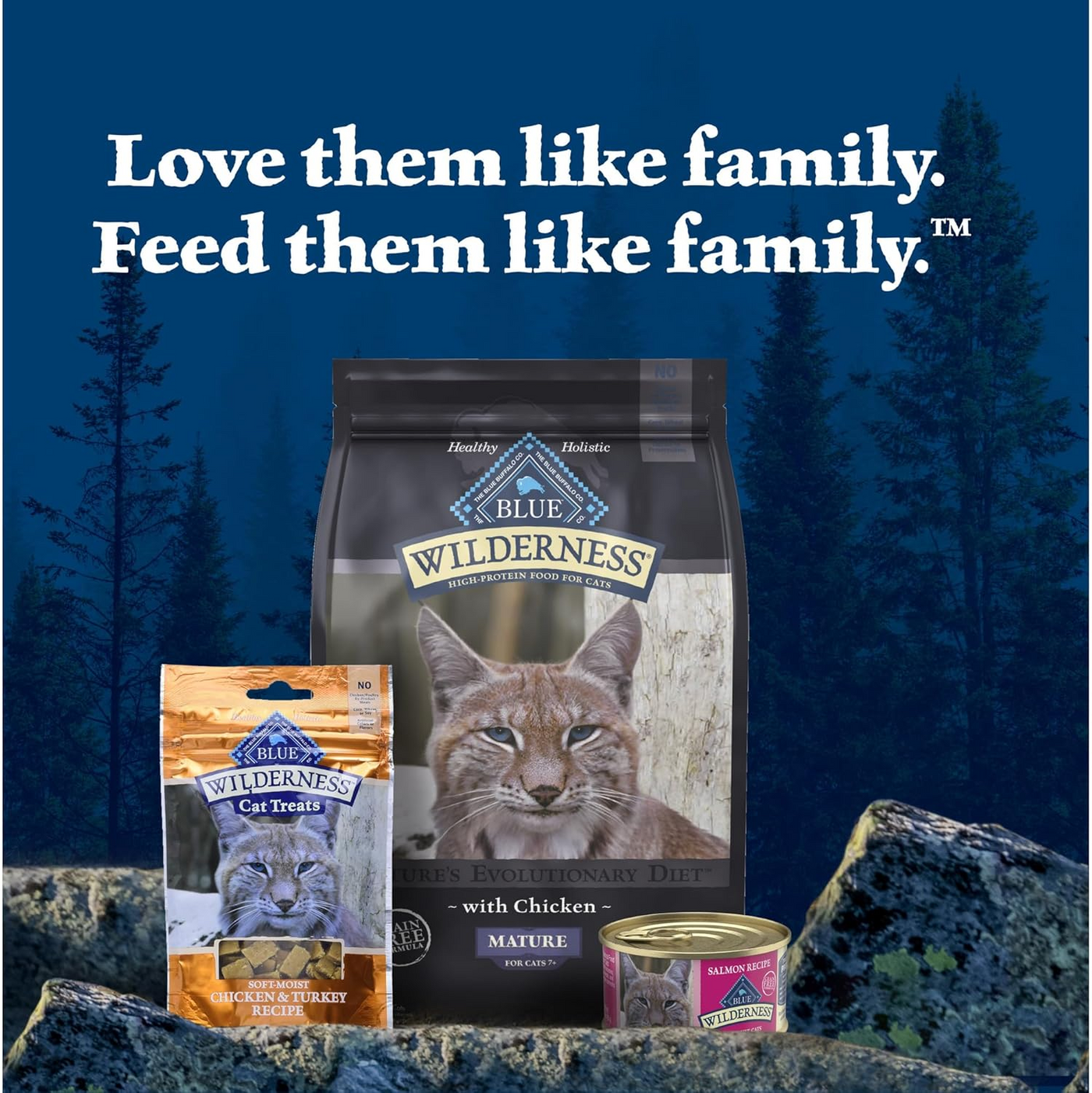 BLUE BUFFALO: Wilderness Adult Cat Food Salmon Recipe, 5.50 oz