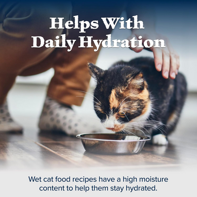 BLUE BUFFALO: Wilderness Adult Cat Food Salmon Recipe, 5.50 oz