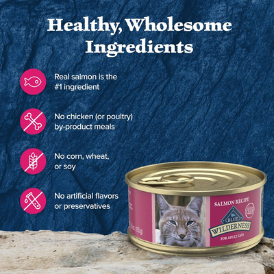 BLUE BUFFALO: Wilderness Adult Cat Food Salmon Recipe, 5.50 oz