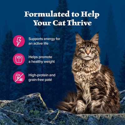 BLUE BUFFALO: Wilderness Adult Cat Food Salmon Recipe, 5.50 oz