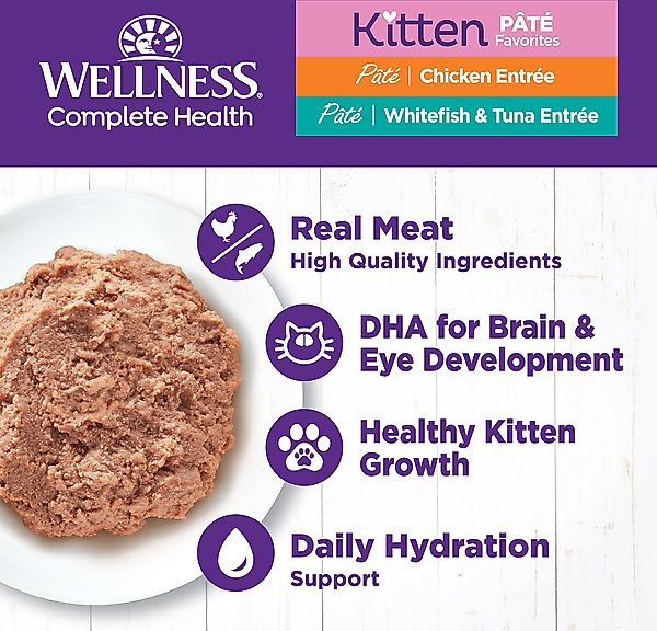 WELLNESS: Chicken Canned Kitten Food, 3 oz