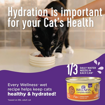 WELLNESS: Chicken Canned Kitten Food, 3 oz