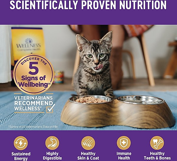 WELLNESS: Chicken Canned Kitten Food, 3 oz
