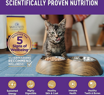 WELLNESS: Chicken Canned Kitten Food, 3 oz