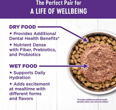 WELLNESS: Chicken Canned Kitten Food, 3 oz