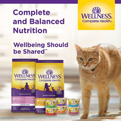 WELLNESS: Chicken Canned Kitten Food, 3 oz