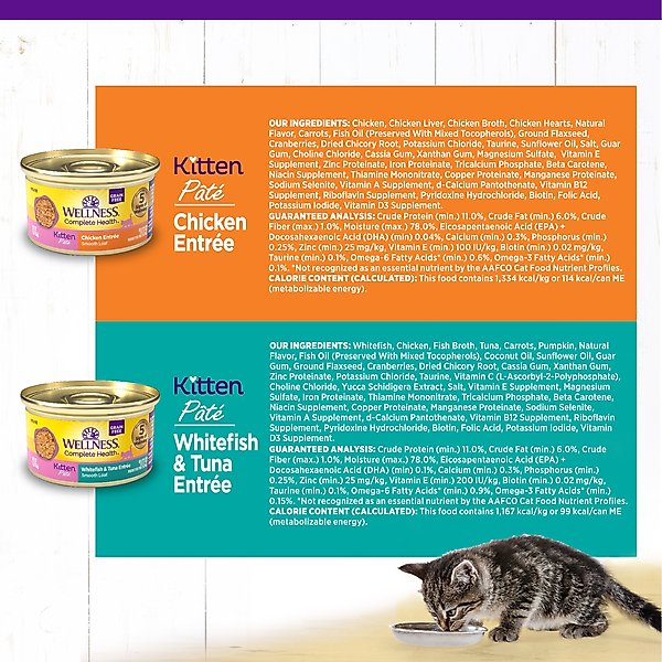 WELLNESS: Chicken Canned Kitten Food, 3 oz