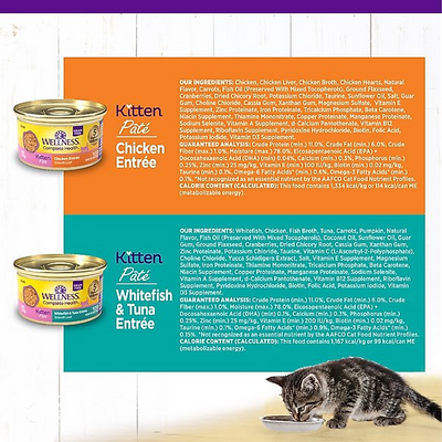 WELLNESS: Chicken Canned Kitten Food, 3 oz