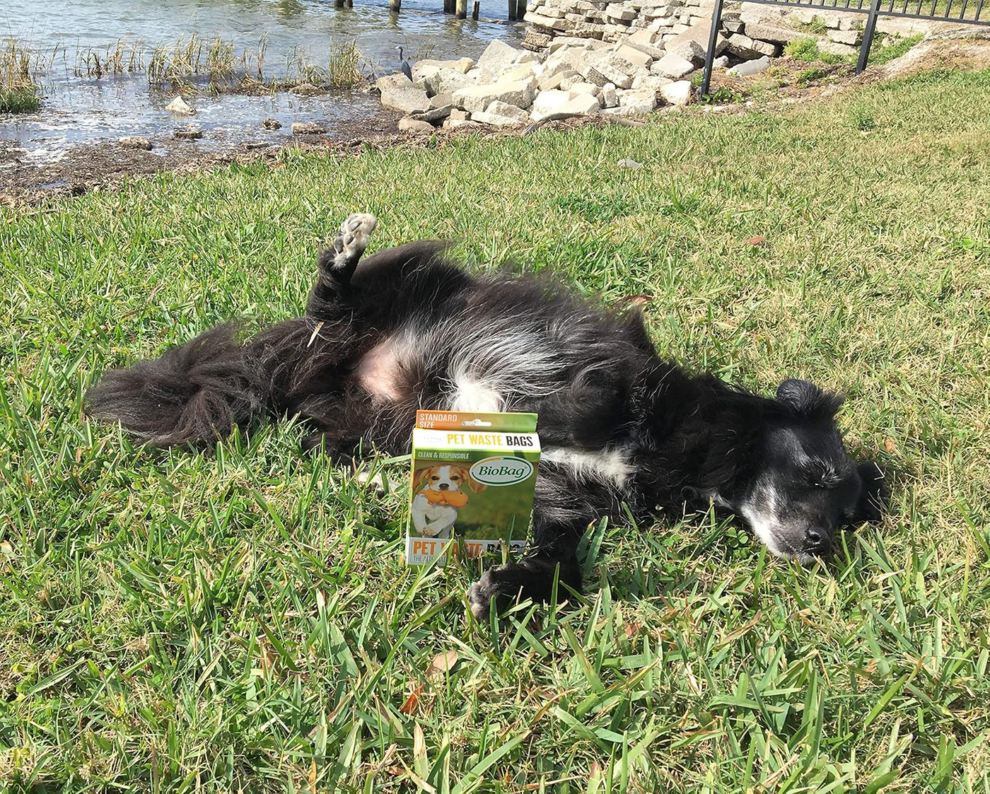BIOBAG: Pet Waste Bags, 50 pc