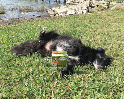 BIOBAG: Pet Waste Bags, 50 pc