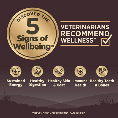 WELLNESS: Core Original Dry Dog Food Formula Grain Free, 4 lb