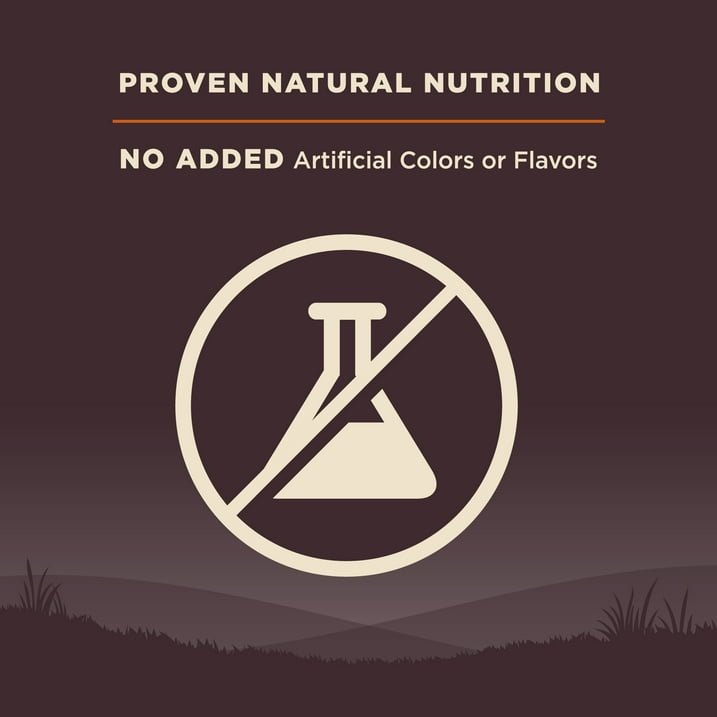 WELLNESS: Core Original Dry Dog Food Formula Grain Free, 4 lb