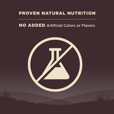 WELLNESS: Core Original Dry Dog Food Formula Grain Free, 4 lb