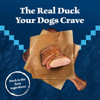 BLUE BUFFALO: Wilderness Trail Treats Dog Treat Duck Biscuits, 10 oz