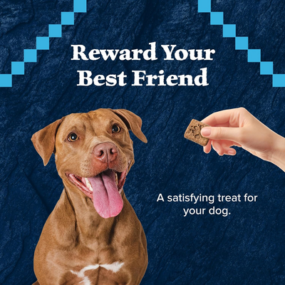 BLUE BUFFALO: Wilderness Trail Treats Dog Treat Duck Biscuits, 10 oz