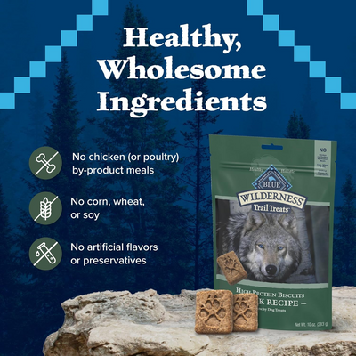 BLUE BUFFALO: Wilderness Trail Treats Dog Treat Duck Biscuits, 10 oz