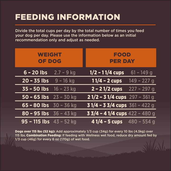 WELLNESS: Core Original Dry Dog Food Formula Grain Free, 4 lb