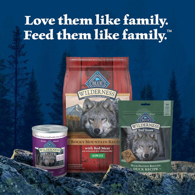 BLUE BUFFALO: Wilderness Trail Treats Dog Treat Duck Biscuits, 10 oz