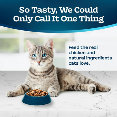 BLUE BUFFALO: Indoor Health Adult Cat Food Chicken and Brown Rice Recipe, 5 lb