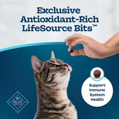 BLUE BUFFALO: Indoor Health Adult Cat Food Chicken and Brown Rice Recipe, 5 lb