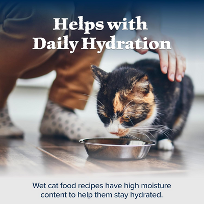 BLUE BUFFALO: Wilderness for Mature Cat Food Chicken Recipe, 5.50 oz